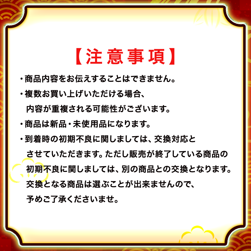 【数量限定】2025年 新春福袋（総額15,000～30,000円相当）【アップルウォッチ】