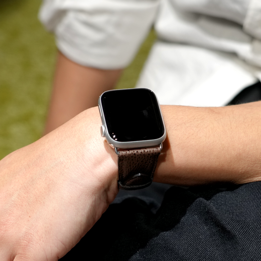 Brown / 38mm/40mm/41mm / gold