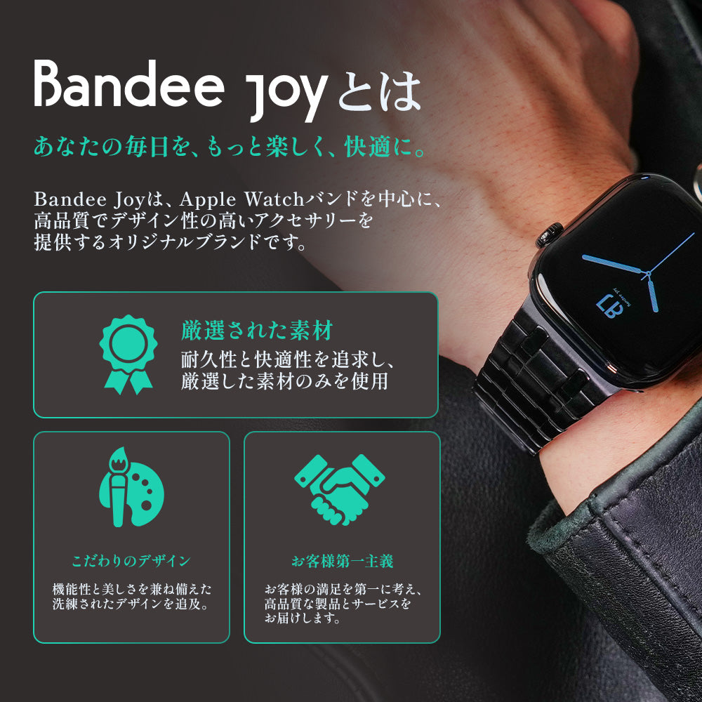 Apple Watch Band BJ-001 LINEAR - Black【Bandee Joy】