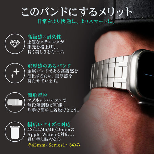 Apple Watch Band LINEAR-002 - Silver [Bandee Joy]