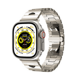 シャンパンシルバー